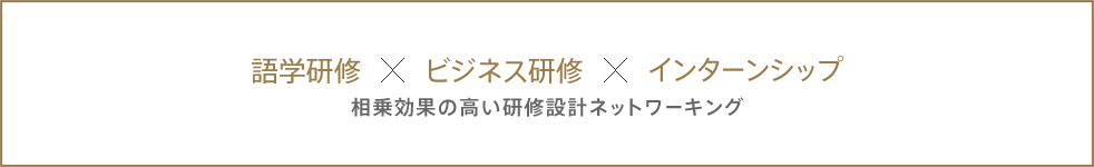 語学研修×ビジネス研修×インターンシップ 相乗効果の高い研修設計ネットワーキング