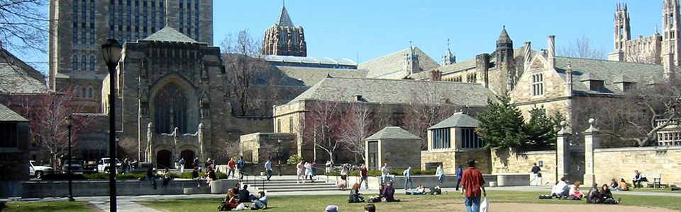 yale university イェール大学 高校生のためのアイビーリーグ サマー
