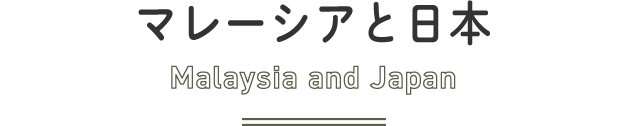 マレーシア大学留学とは