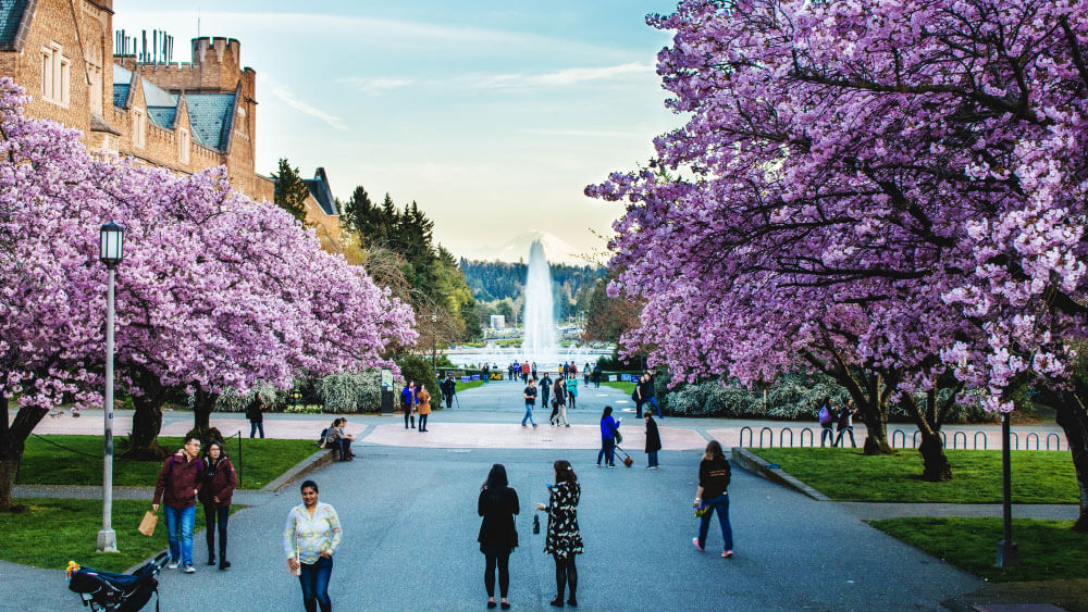 ワシントン大学…2024年世界大学ランキングトップ1.3%にランクインした名門校